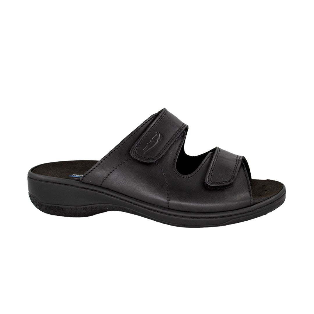 BASIC ECONOMIC NAZARÉ