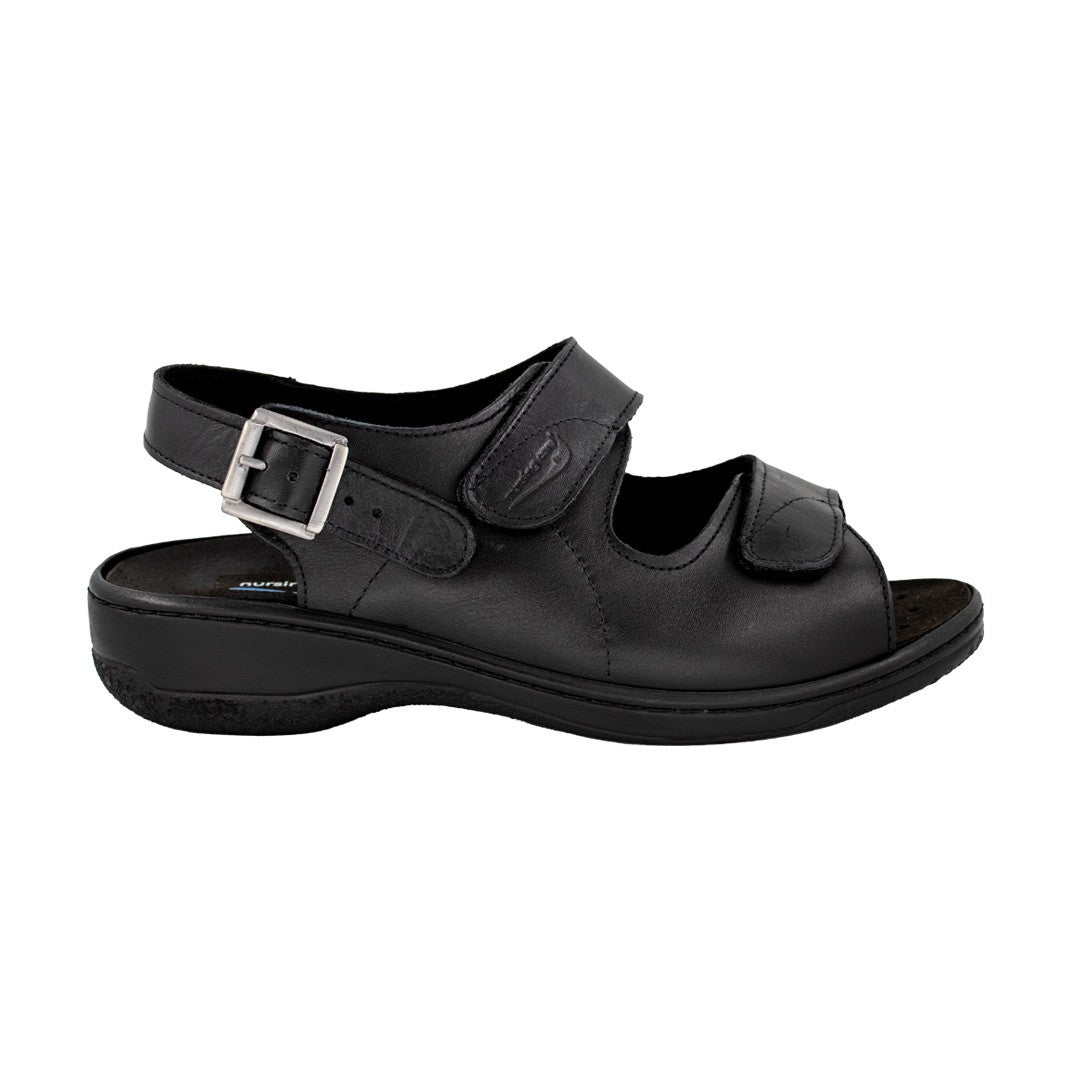 BASIC ECONOMIC MOLEDO