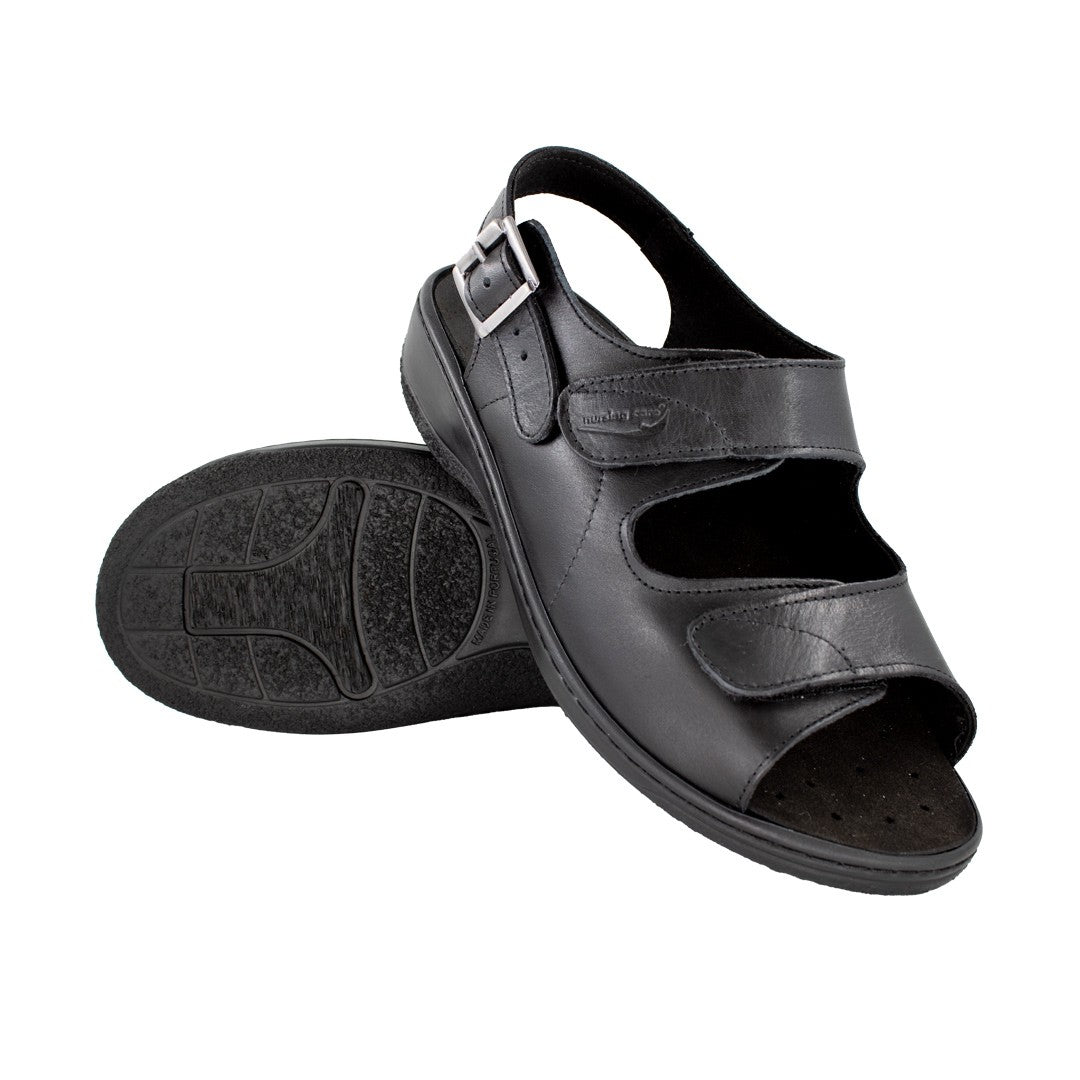 BASIC ECONOMIC MOLEDO