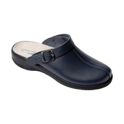 BASIC ECONOMIC MELIDES